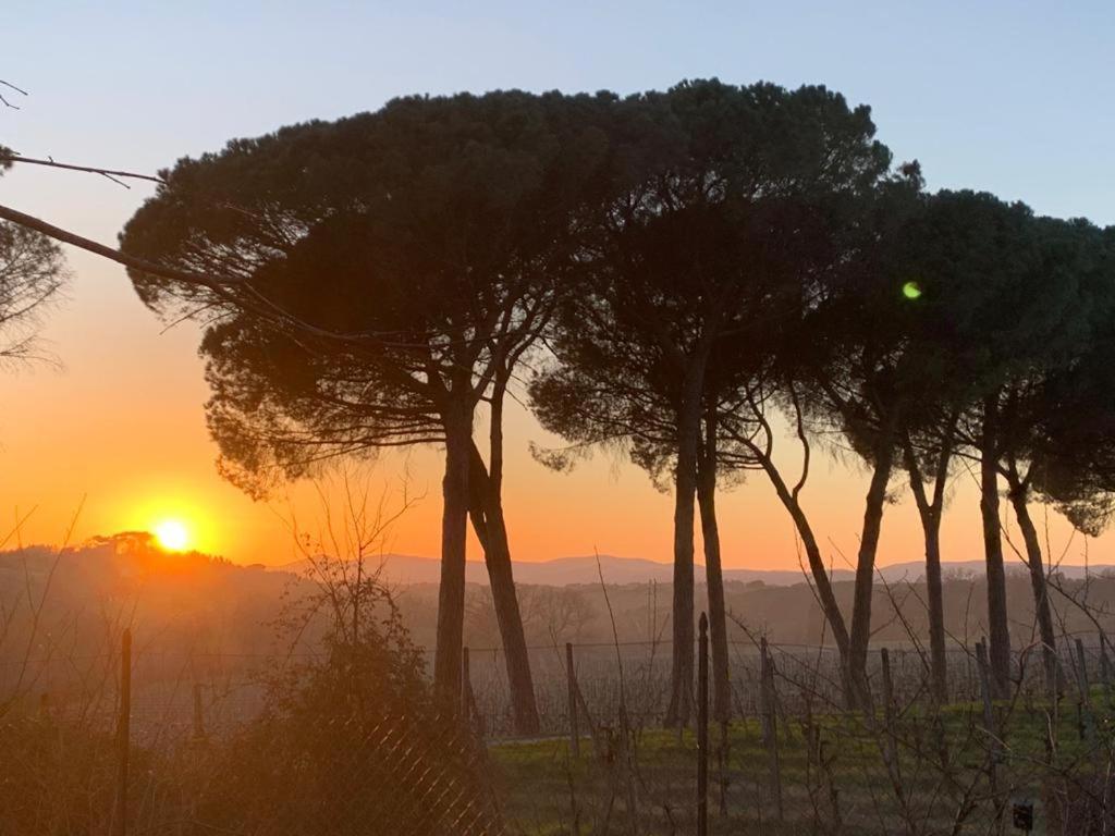 Willa San Martinello Perugia Zewnętrze zdjęcie